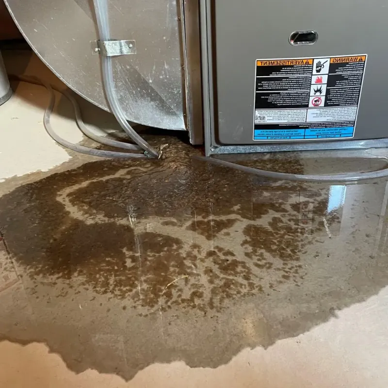 Pipe Burst and Leak Restoration in Westerly, RI