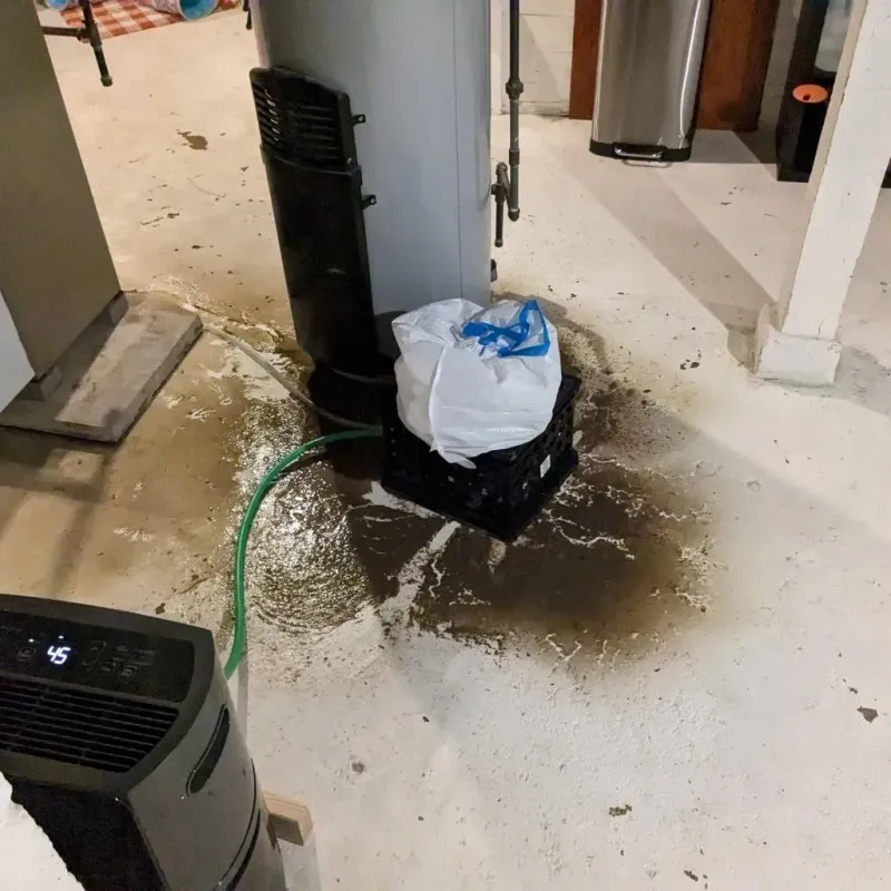 Sewage Backup Cleanup Service in Westerly, RI